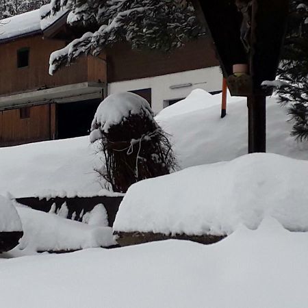 Appartement Wildkogelblick Neukirchen am Großvenediger 외부 사진